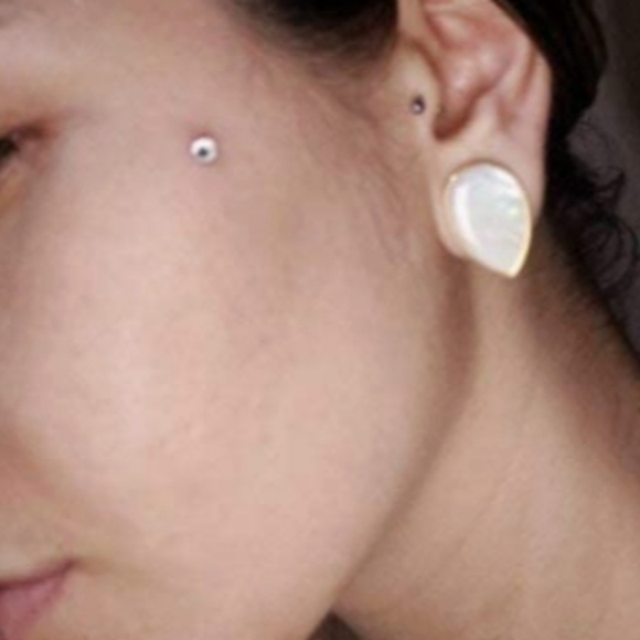 Casvort 2 PCS 00G Hypoallergenic 316 Stainless Steel Wedding Counch Shell Guage - Picture 3 of 9